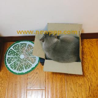 AZRD-092