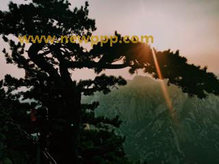 BLOR-017