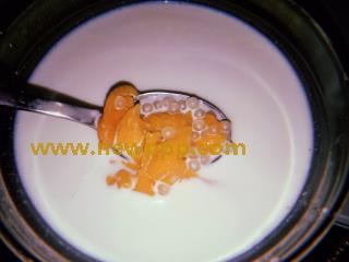 BSDV-146