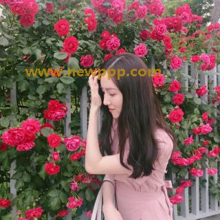 BSDV-228