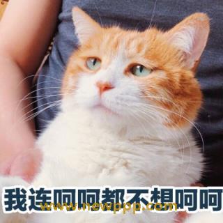 CADR-061