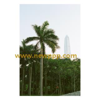CAV-3800076
