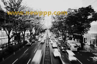 CBD-007