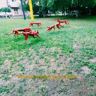 CELE-013