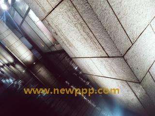 CWL-004
