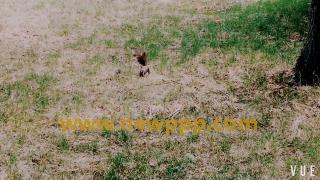 CWM-059