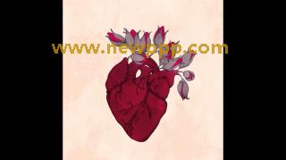 DCOW-074