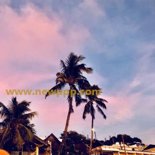 DDB-040