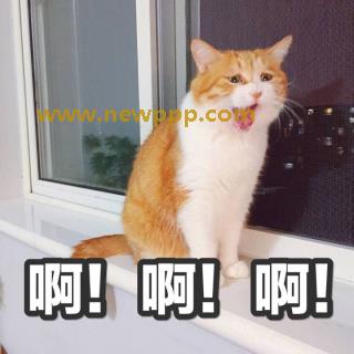 DDY-006