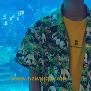 DEJU-029
