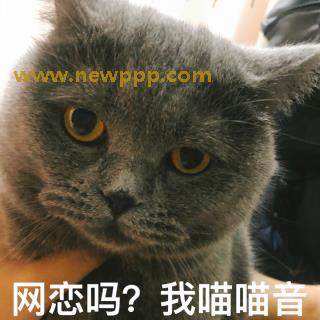 DEJU-048