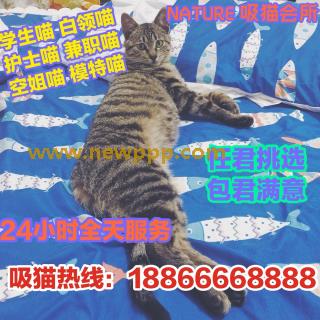 DJSG-076