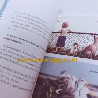 DKSW-164