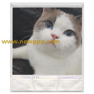 DMAT-056