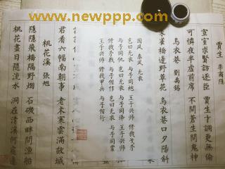 DMBD-003