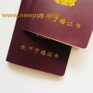 DMBI-011
