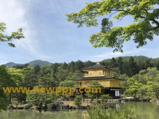 DMBK-017