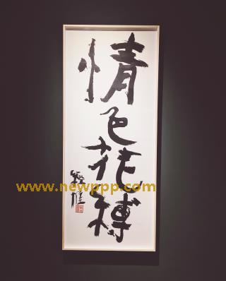 DMBK-019