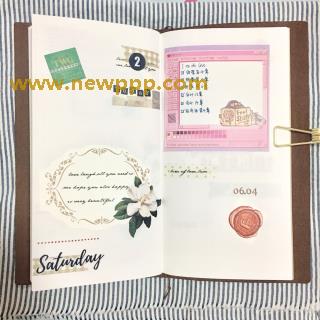 DMS-003
