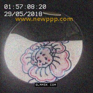 DNT-004