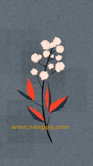 DPF-004