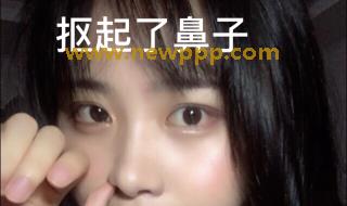 DPJ-010