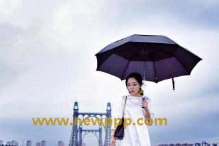 DSD-451