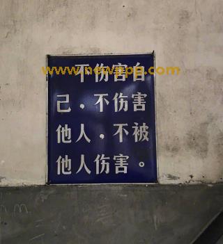 DSE-040