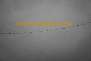 DSK-004