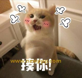 DVIFT-034