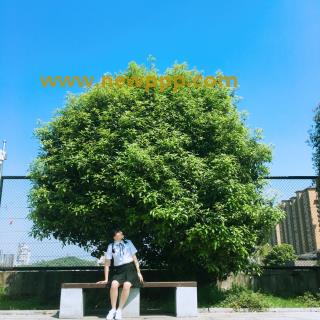 DYNS-013