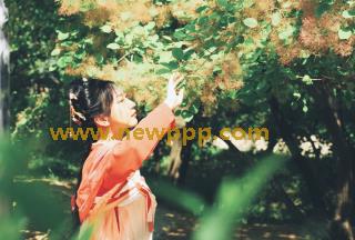 EBE-020