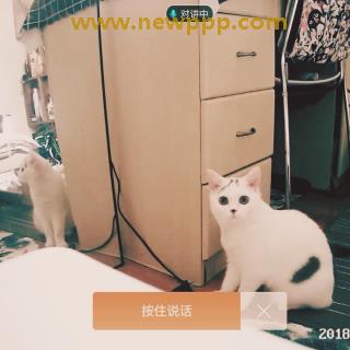 ESD-001