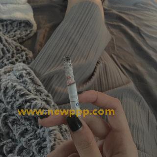 FE-008
