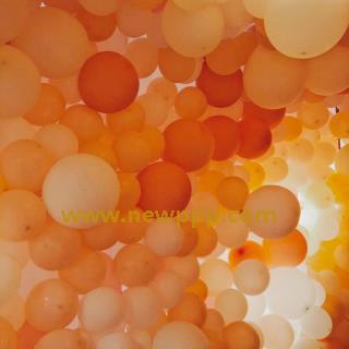 FESE-015