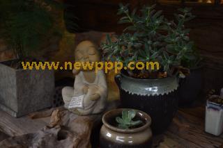 GIFD-038