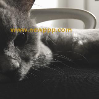 HE-009