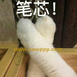 HEHO-032