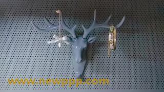 HHED-012