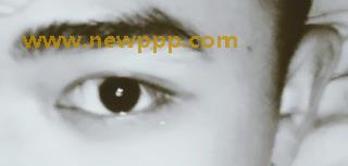 HHPR-006