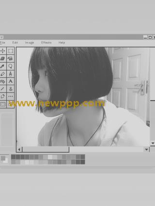 HIMA-041
