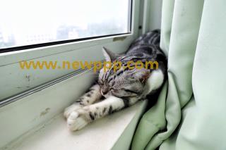 HITMA-046