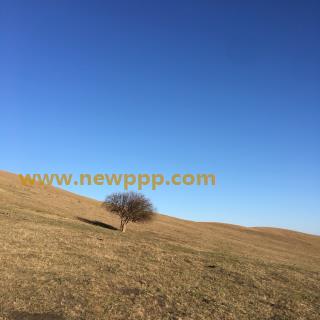 HMGL-046