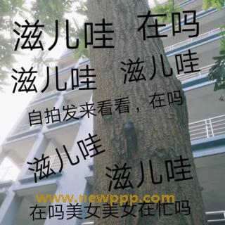 HSM-023