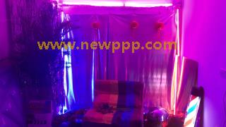HYPD-036