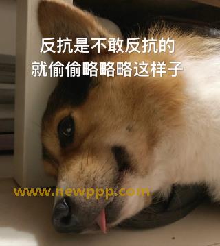 ICHD-008