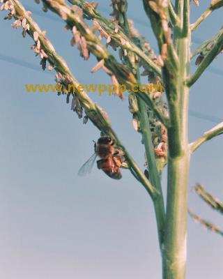 IMG-174