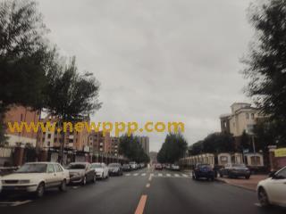 IMG-275