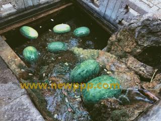 IMG-285