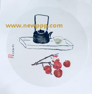IMGS-001